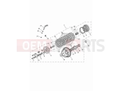 TRIUMPH Tiger 900 GT Pro Clutch