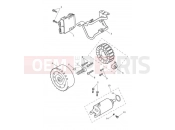 TRIUMPH Trident 660 Alternator & Starter Motor