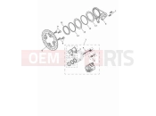 TRIUMPH Speed Triple 1200 RS Rear brake caliper & discs