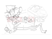 Intake manifolds - Ducati Hypermotard 1100 S 2008