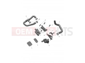 TRIUMPH Daytona 660 Emissions Control System