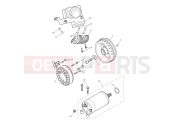 Triumph 2024 Speed Twin 1200 Alternator & Starter Motor