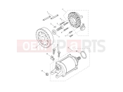 TRIUMPH Tiger 900 GT starter & alternator