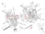 DUCATI Monster Plus Crankcase bearings
