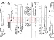 DUCATI Multistrada V4 Rally Front fork (international)