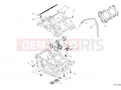 DUCATI 2024 Multistrada V4 Pikes Peak Crankcase (2)