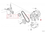 DUCATI 2024 Multistrada V4 Pikes Peak Oil pump
