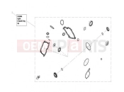 CFMOTO UFORCE 800 (CF800UU-A) ENGINE OIL SEAL @^O-RING - E13