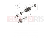 Triumph 2026 DAYTONA 660cc - CM3407 > Clutch Assembly