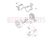 TRIUMPH TRIDENT 660cc CN4040 > Alternator & Starter Motor