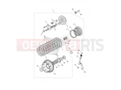 TRIUMPH Trident 800 Clutch