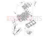TRIUMPH Tiger 900 Rally Cylinder Head & Valves