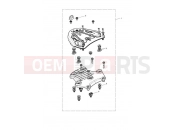 TRIUMPH Tiger 900 Rally Sliding Carriage Kit