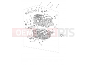 TRIUMPH Tiger 900 Rally Crankcase & Fittings