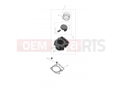 TRIUMPH Speed 400 Piston & Cylinder
