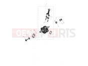TRIUMPH Speed 400 Crankshaft & Conrod