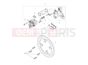 TRIUMPH TIGER 900 Desert Rear Brake Caliper & Discs