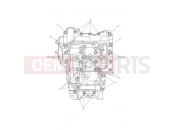 TRIUMPH TIGER 900 Desert Crankcase Bolts