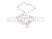 TRIUMPH TIGER 900 Desert Sump & Fittings