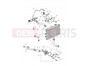 Triumph 2014 ROCKET III, CLASSIC & ROADSTER Cooling System