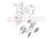 TRIUMPH TIGER 900 Cooling System