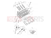 Triumph 2026 Tiger 1200 Alpine Cylinder Head & Valves