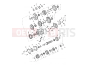 Triumph 2024 Tiger 1200 Rally Pro Transmission