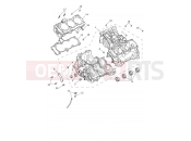 TRIUMPH Tiger 1200 Rally Pro Crankcase & Fittings