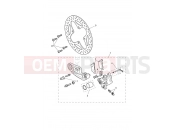TRIUMPH Tiger 1200 Rally Pro Rear Brake Caliper & Discs