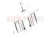 Front Forks & Lower Yoke Assy - Triumph Tiger Sport 800 2026