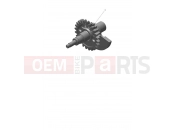 Balancer - Triumph TF250-C 2025