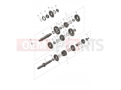 Transmission - Triumph TF250-E 2026
