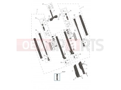 Front Forks & Lower Yoke - Triumph TF250-E 2026