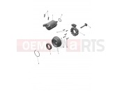 TRIUMPH TF250-X CS6090 > Alternator & Starter Motor