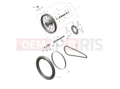 Rear Wheel - Triumph TF450-RC Edition 2026