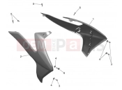 Side Panels - Triumph TF250-E 2026