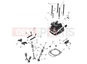 Cylinder Head & Valves - Triumph TF450-RC Edition 2026
