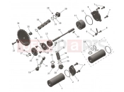 Lubrication System - Triumph TF450-RC Edition 2026
