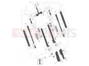 Front Forks & Lower Yoke - Triumph TF450-RC Edition 2026