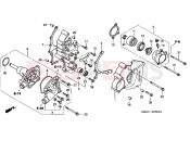 HONDA VFR800FIY INTERCEPTOR 2000 E-8 B. COVER / WATER PUMP